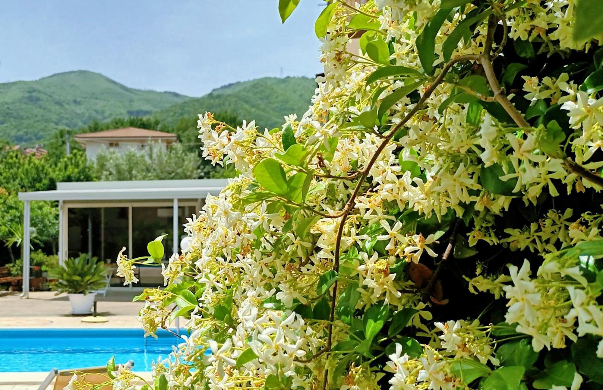 La Residenza Del Marchesato Bed & Breakfast Marano Marchesato Exterior photo